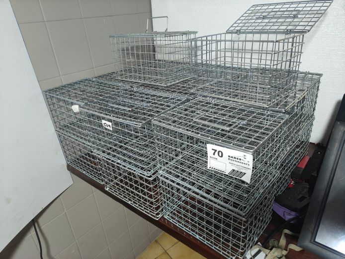 20 X STEEL WIRE BASKETS