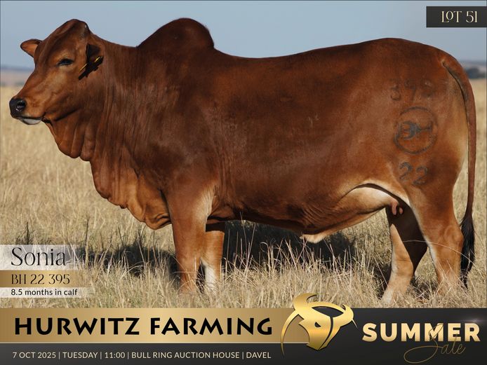 BH 220395
