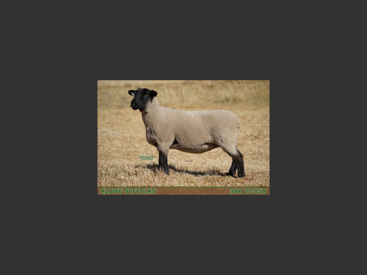 images