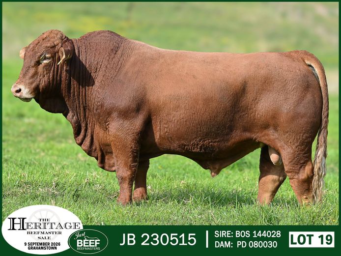 JB 230515 HH | SUPER PRO DAIRY