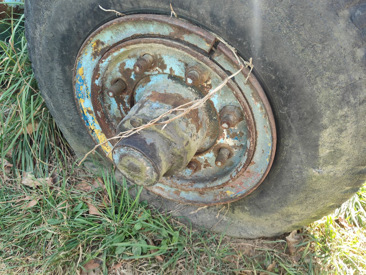 images