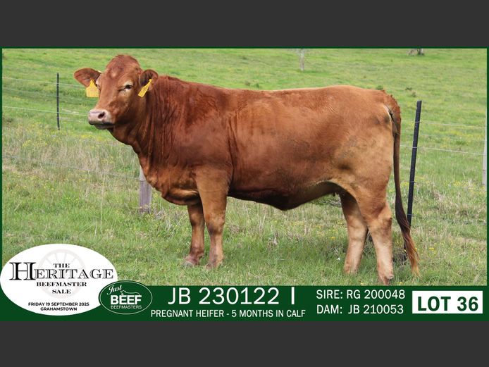 JB  230122 | JUST BEEF