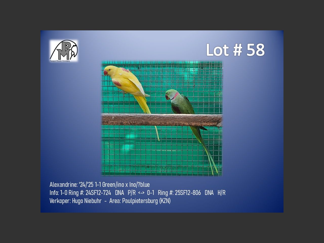 images