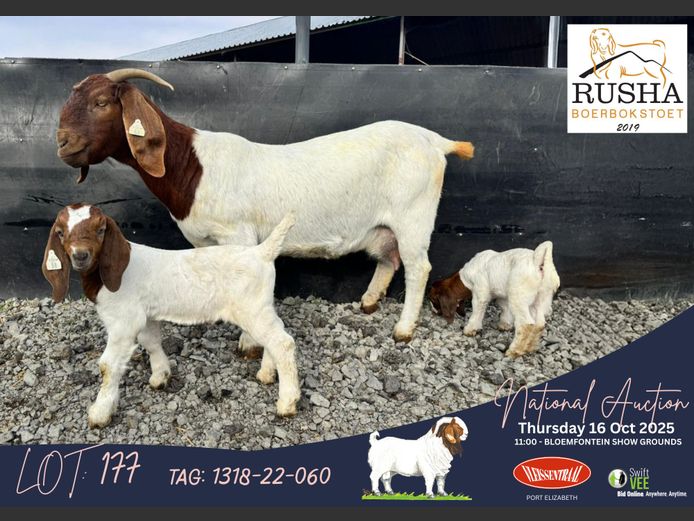 1318-22-060 | Jannes du Toit (Rusha Boerbokstoet)