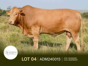 images
