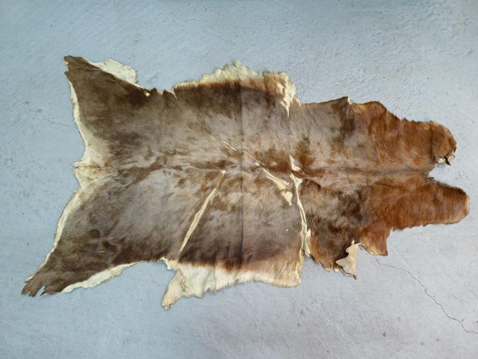 Decorative Game Hide / Natural Tonal Pelt Rug