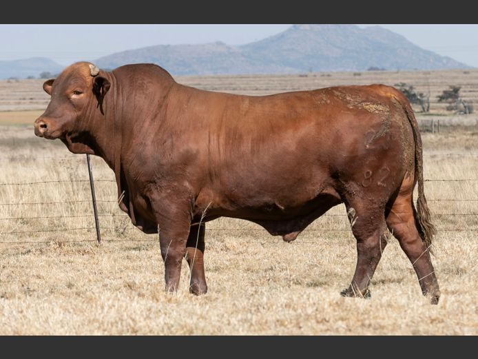 SP 230082 HH | PINEKLOOF TRUST