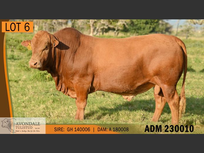 ADM 230010 | A.D. MULLINS