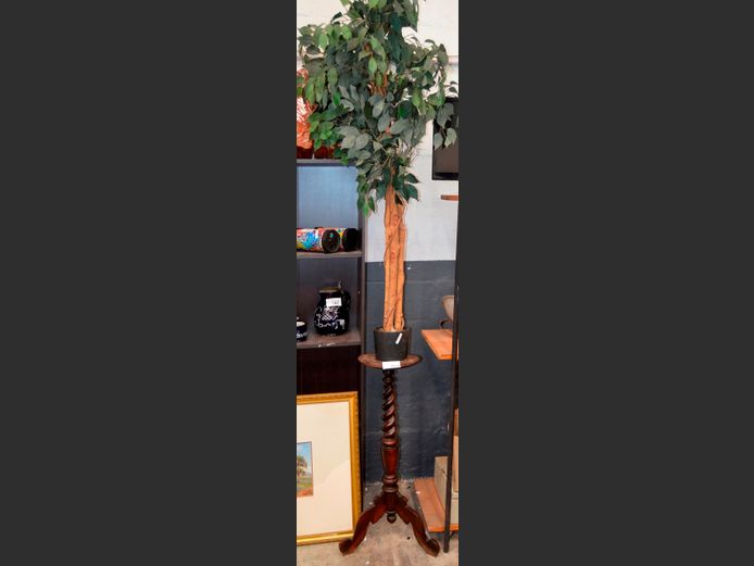 BARLEY TWIST PLANT STAND, 26cm Diameter x 86cm High, WITH EVERLASTING SHRUB, 160cm High