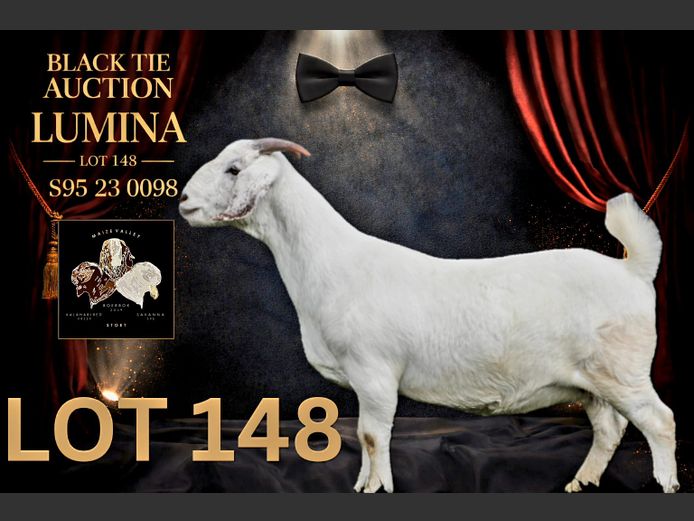 95230098 | Maize Valley Savanna stoet