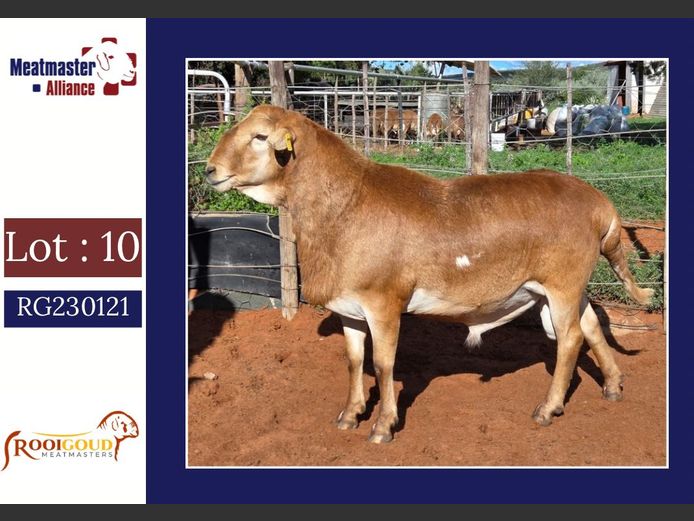 Ǿ3176 | Rooigoud Meatmasters