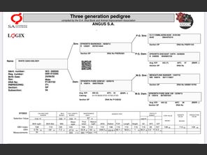 genetic_data