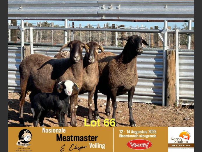 24.338 | Jacques Strydom - Karoo Shalom Meatmasters