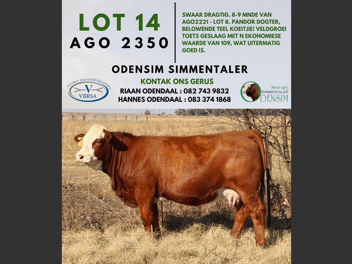 AGO2350 | AG ODENDAAL