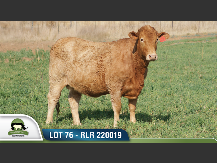 RLR 220019 | RHENOSTERVALLEI