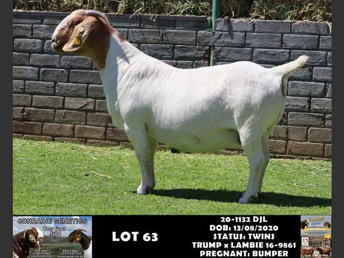 20-1132 DJLK | DIRK LOUW