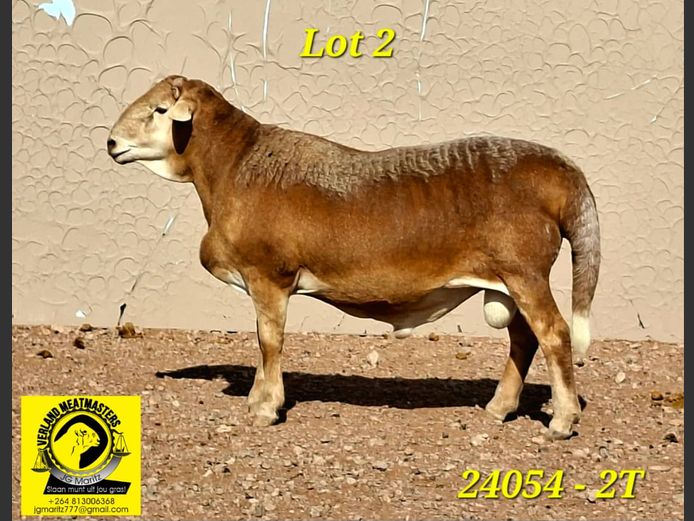 VERLAND MEATMASTERS | 24054