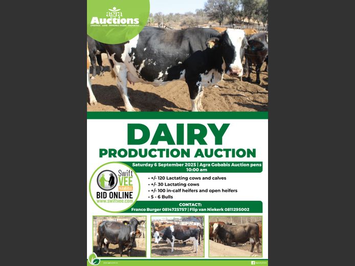 DAIRY PRODUCTION AUCTION