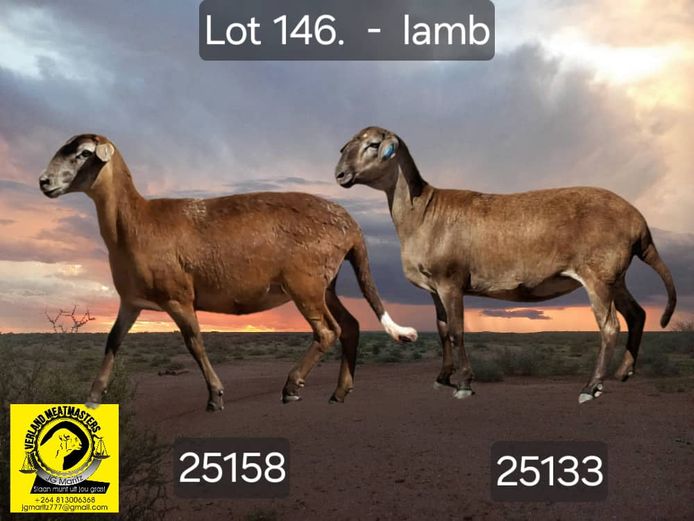 25133 | 25158 | VERLAND MEATMASTERS