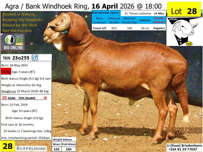 230255TKN | KOOS BRIEDENHANN