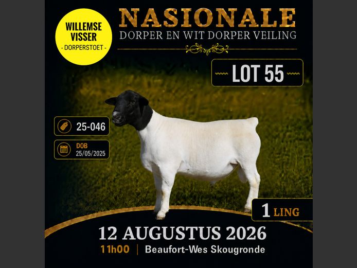 25 046 | W VISSER