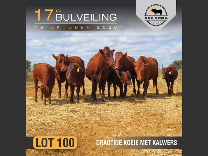 Commercial Animals | Harlou Familie Trust