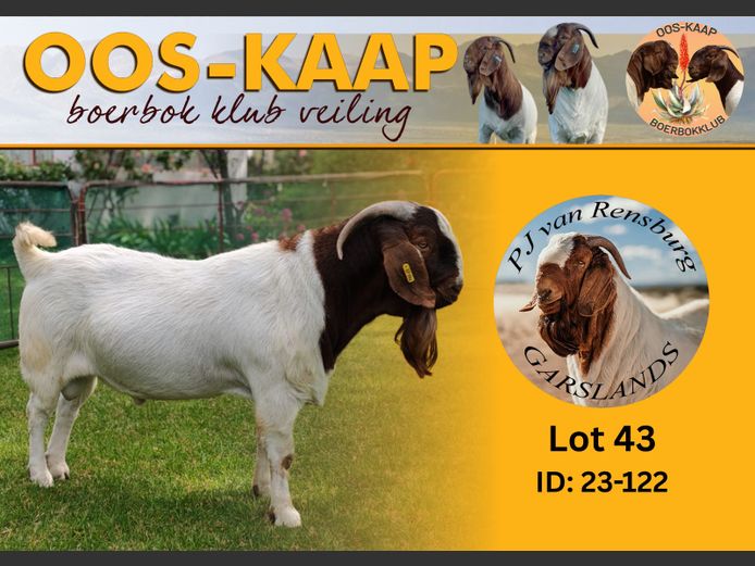 23-122 | PJ van Rensburg