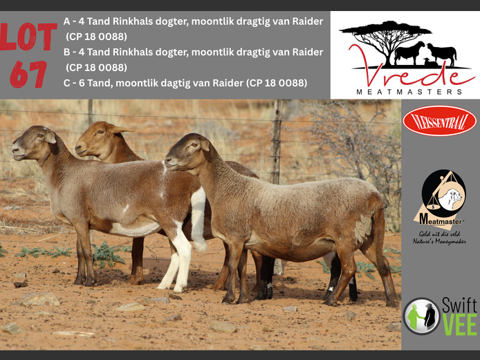 PS 22 003 | Peter & Christia Scholtz - Vrede Meatmasters