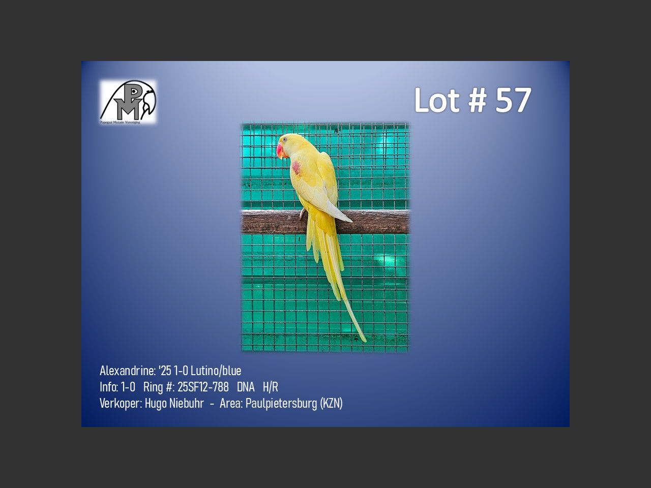 images