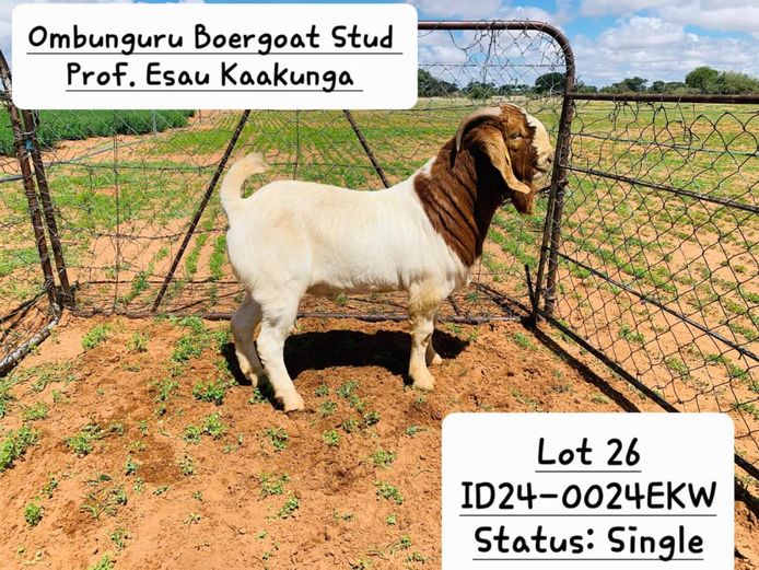 24-0024EKW | PROF. ESAU KAAKUNGA