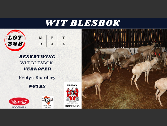 WIT BLESBOK