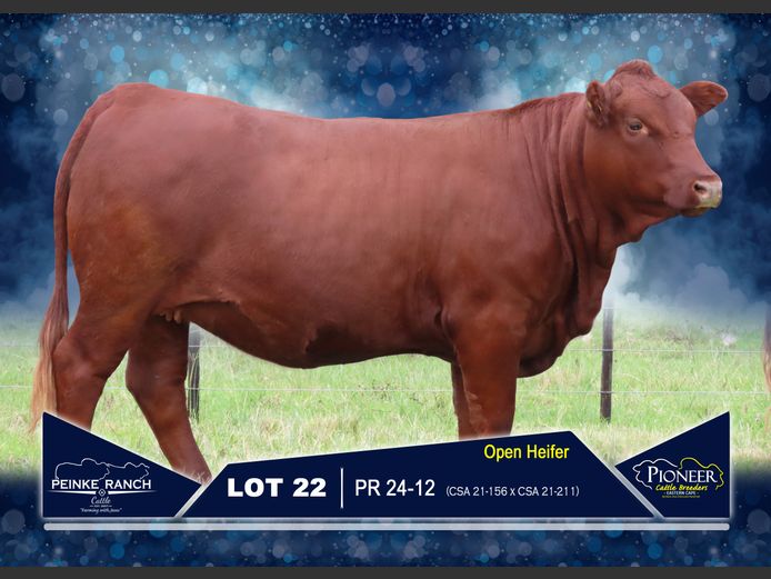 PR 240012 | PEINKE RANCH