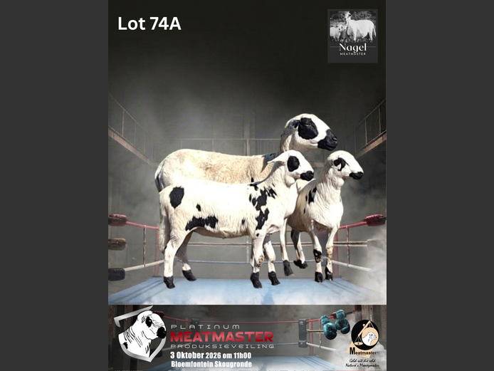 NM22 1521 | Nagel Meatmasters