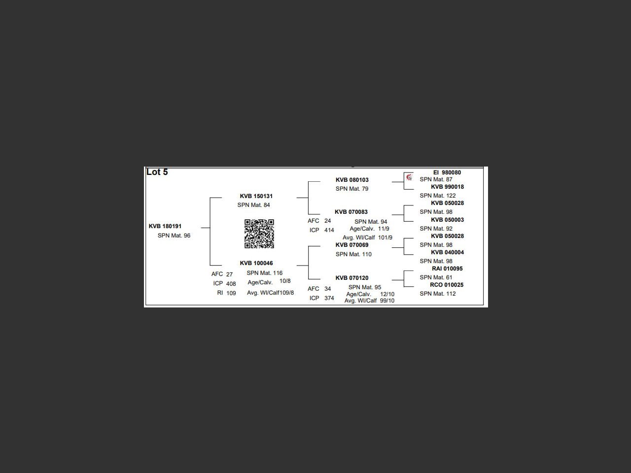 images