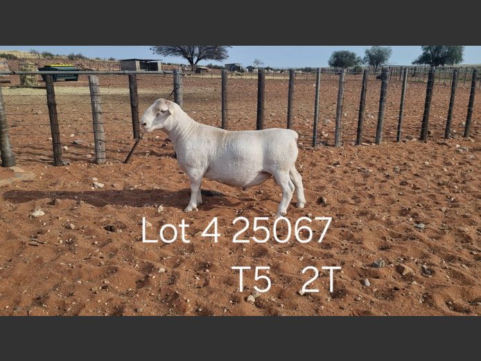 916250067W | R.J. CAHI & SON CC