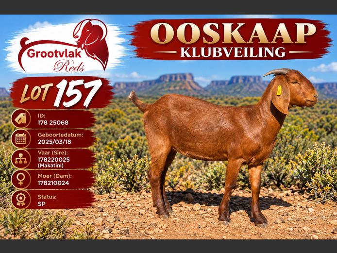178250068 | Grootvlak KR