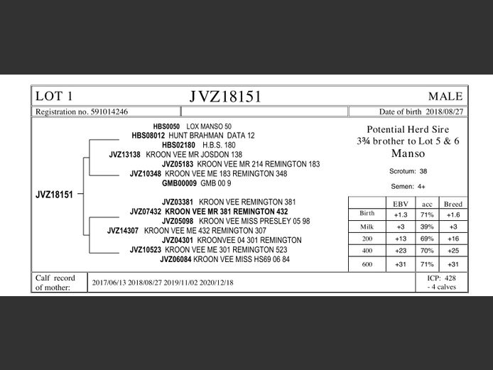 JVZ18-151