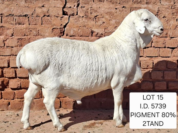 5739 | Francois van Rensburg Farming