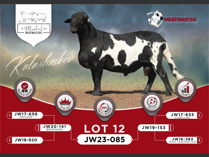 JW 23-0085 | Mario Marais - Model Meatmasters, Britz