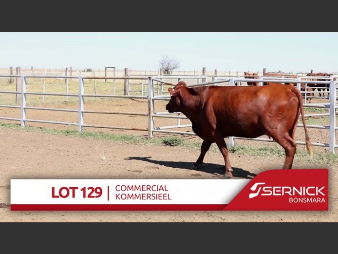 Commercial Animals
