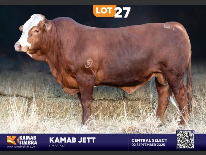 DM221542 | KAMAB SIMBRA
