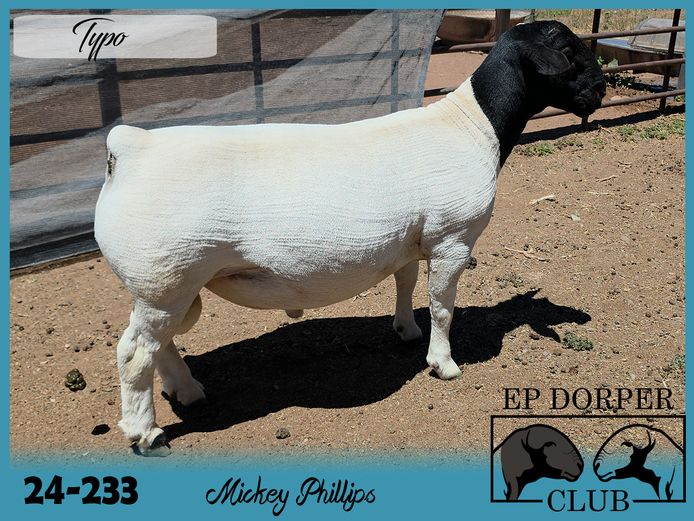 24-233 | Mickey Phillips