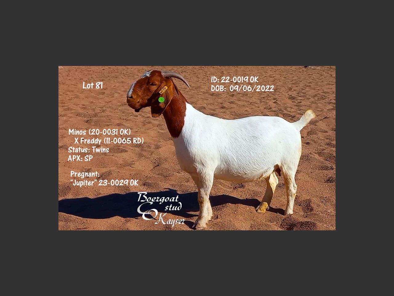 images