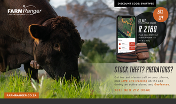 May-Cattle
