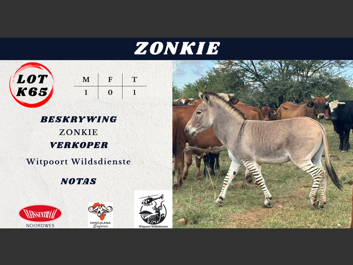 ZONKIE
