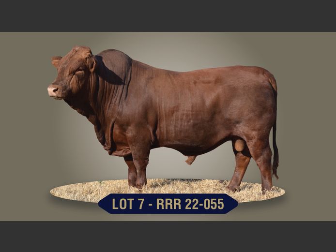 RRR220055 | ALPIER FARMING (PTY) LTD