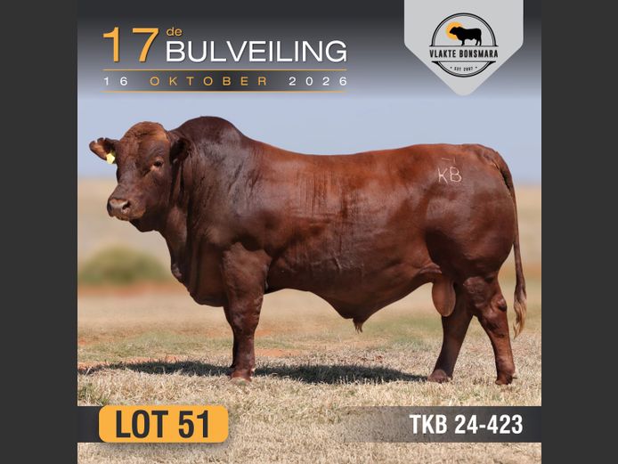 TKB240423 | TIAN KRUGER BOERDERY PTY LTD