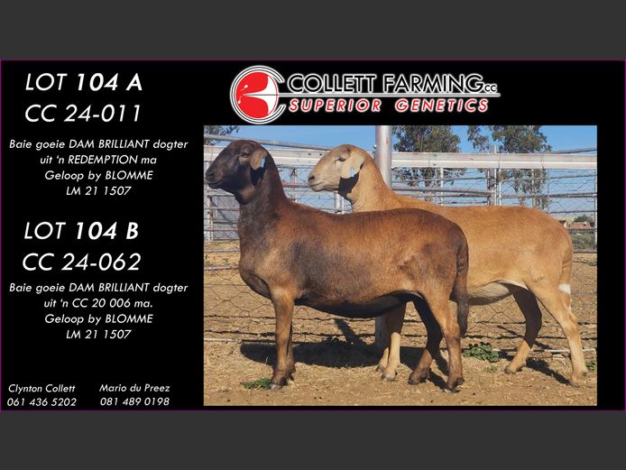 CC 240062 | COLLETT FARMING CC
