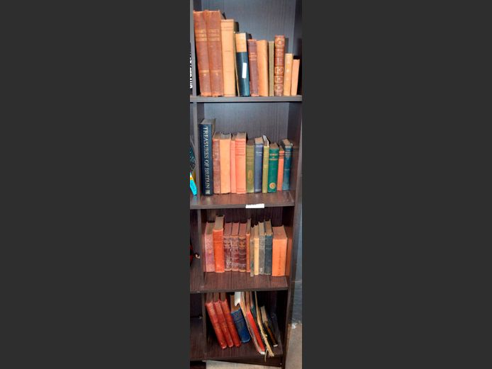 COLLECTION VINTAGE BOOKS ON 4 SHELVES: SHAKESPEARE , ENGINEERING, etc