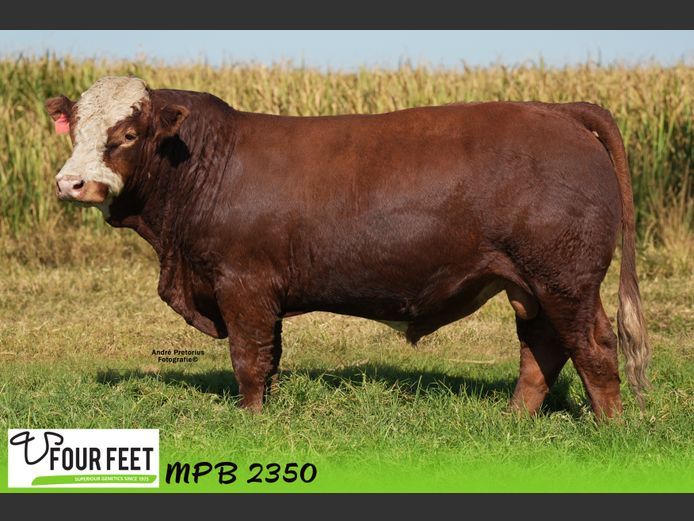 MPB2350 | EL BARRY